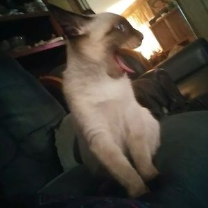 Meet your Posher, Jessica